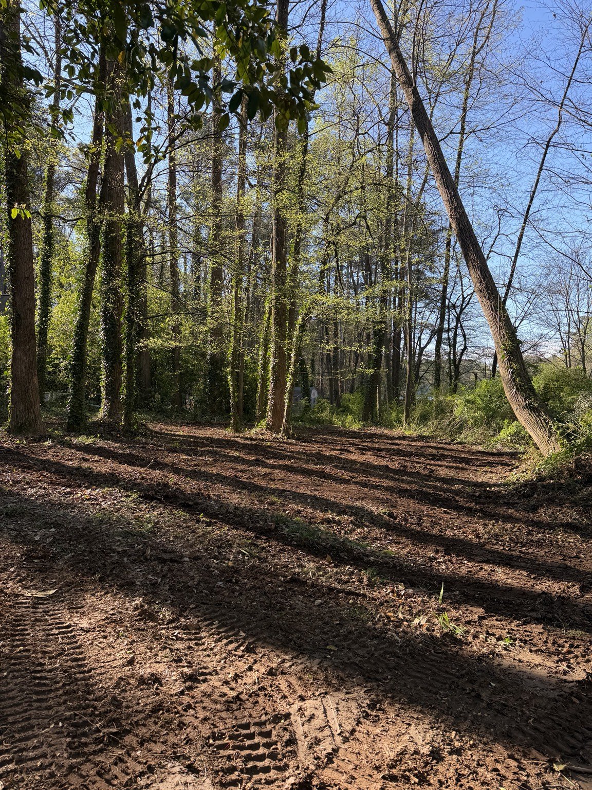 After land clearing