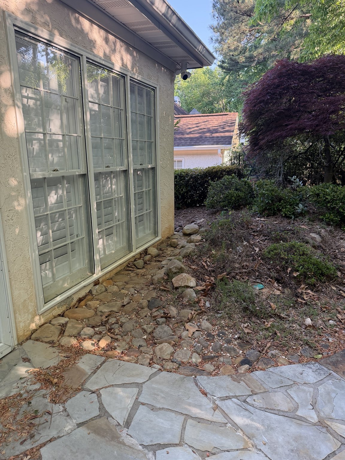 Before drainage
